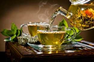 green tea for weight loss